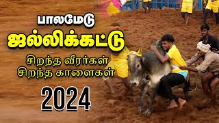 Palamedu Jallikattu : முடிஞ்சா தொட்டுப்பார்...!   - பாலமேடு ஜல்லிக்கட்டு 2024 | Vikatan