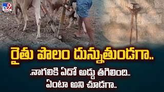 రైతు పొలం దున్నుతుండగా..నాగలికి ఏదో అడ్డు తగిలింది.. ఏంటా అని చూడగా..