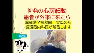 初発の心房細動患者が外来に来たら(基礎から帰宅まで実際のところを循環器内科医が解説します)