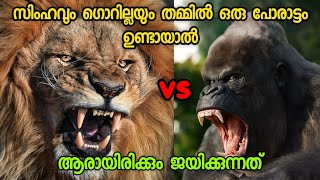 Lion vs gorilla in malayalam | സിംഹം vs ഗൊറില്ല