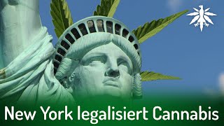 New York legalisiert Cannabis | DHV-News # 287
