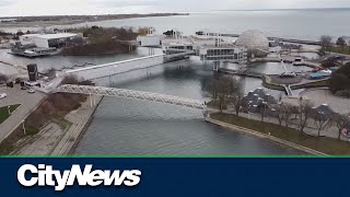 Tree removal begins at Ontario Place