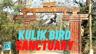 Raiganj Kulik Forest || Kulik Bird Sanctuary || কুলিক পাখিরালয়, রায়গঞ্জ || Debanjan Pathak Vlogs