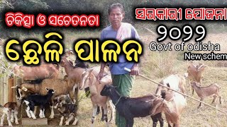 ଛେଳି ପାଳନ ସରକାରୀ ଯୋଜନା ୨୦୨୨//Goat farming in odisha 2022//Govt of odisha New scheme Farming 2022