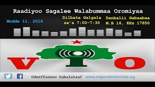 RSWO - Mudde 11, 2016 (Gudeeddaan Shamarranii Loltoota Agaaziin Raawwatamu Cime Itti Fufe : Jiraat.)