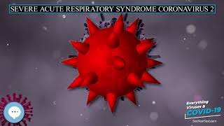 Severe acute respiratory syndrome coronavirus 2 🧫👩🏾‍⚕️🤒 Everything Viruses & COVID-19 🤒👩‍⚕️🧫