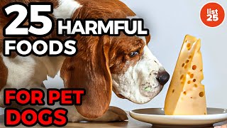 25 Harmful Foods Your Puppy Shouldn’t Eat