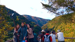 【秋の京都嵐山】展望台から眺める保津峡と亀山公園の紅葉風景🍁2019年11月26日(火) 🌟Autumn Leaves  in Arashiyama✨ 岚山【4K】