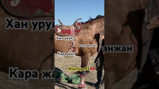 Кара жал рахманжан #kyrgyzstan