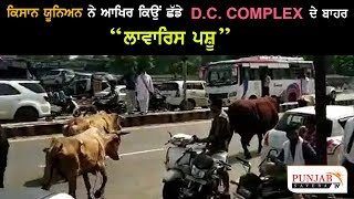 ਕਿਸਾਨ ਯੂਨੀਅਨ ਨੇ ਆਖਿਰ ਕਿਉਂ ਛੱਡੇ D.C. Complex ਦੇ ਬਾਹਰ \