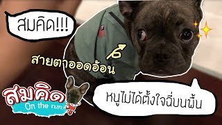 สมคิด on the run |  สมคิดผิดไปแล้ว