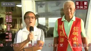 2020夏季南海賽鴿船隊第三關