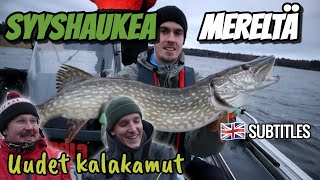 Pike Fishing At The Sea In November | Fishing with followers