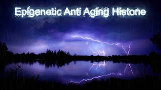 Epigenetic Anti Aging with Histone