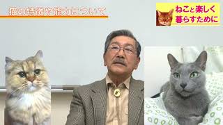 獣医さんに聞きました。「猫と楽しく暮らすために」その①：ねこの特徴や能力について