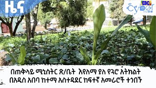 በጠቅላይ ሚኒስትር ጽ/ቤት  እየለማ ያለ የጓሮ አትክልት በአዲስ አበባ ከተማ አስተዳደር ከፍተኛ አመራሮች ተጎበኙ  Etv | Ethiopia | News