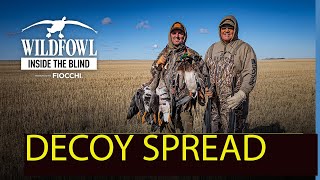 Decoy Spread - Inside The Blind