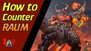 How to Counter Raum in Paladins