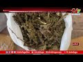 ganja seized in ghatkesar telangana ntv