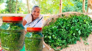 এই ভাবে ধনে পাতা সংরক্ষণ করলে রং ও গন্ধ ঠিক থাকপে সারা বছর | Dhane pata shongra khan rakhun