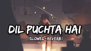 Dil Puchta Hai - Lofi (Slowed + Reverb) | Palak Muchhal | Lofi Mode | @lofi-mod3