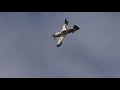 matt hall mxs r red bull air race plane fly bys low level flying aerobatics