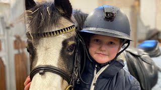 Visar alla våra hästar, katter och hundar 💜 STALLVLOGG 🐴