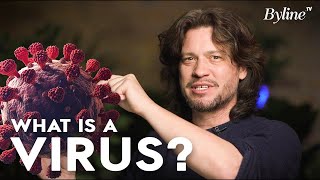 Here’s How a virus works