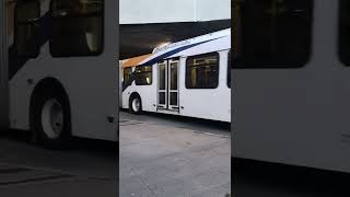 2009 DE60LFR 716 In Metro transit livery,￼ ￼Route￼ 1, Departing Bridge Terminal￼ One of Two