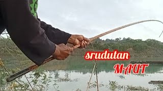 srudutan MAUT