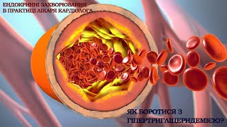 Як боротися з гіпертригліцеридемією?