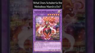 What Does Schuberta the Melodious Maestra Do? (Yugioh Cards Explained for Easy Deck Building)