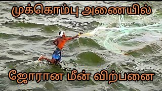 Fishing in Mukkombu dam at Trichy | திருச்சி முக்கொம்பு அணையில் மீன்பிடித்தல் #fishing #trichy