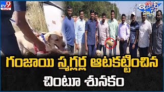 iSmart News : గం*జాయి స్మగ్లర్ల ఆటకట్టించిన చింటూ శునకం | Dog - TV9