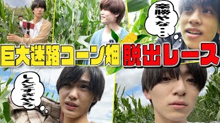 Lil Kansai (w/English Subtitles!) [Giant Maze Escape] Run through the cornfield!