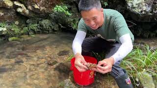 臭鸡肠子也能换来山货，螃蟹终究抵挡不住诱惑，宁愿被抓也要来吃#捉螃蟹 #抓螃蟹 #农村生活 #户外打野 #大山里的原生态