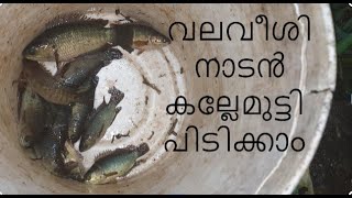 KUTTANADAN FISHING I NET FISHING AND WITH SPIDER HOOKS I വലവീശി  നാടൻ കല്ലേമുട്ടിയെ പിടിക്കാം