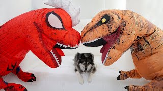 Kakoa's Favorite Stories with Dinosaurs!