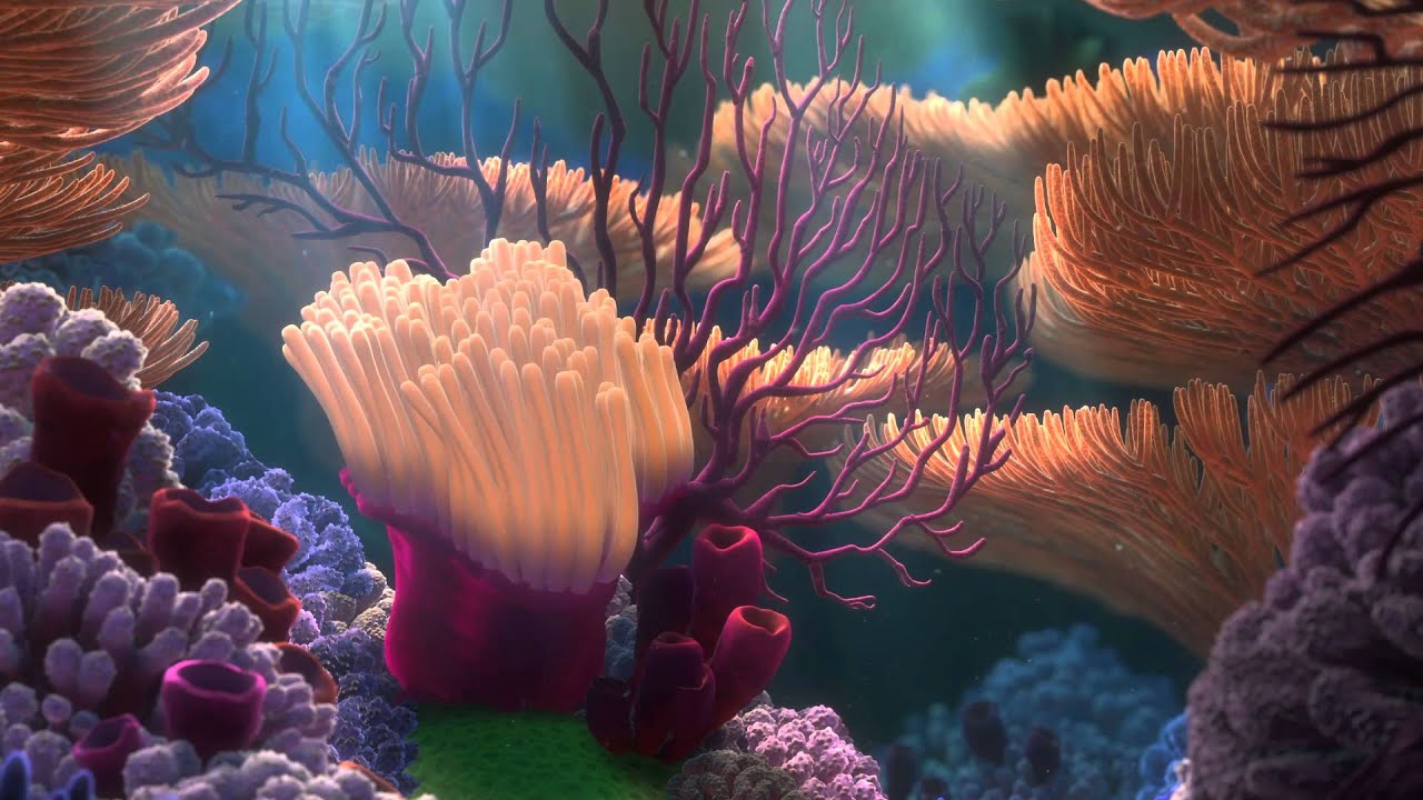 Anemone Finding Nemo