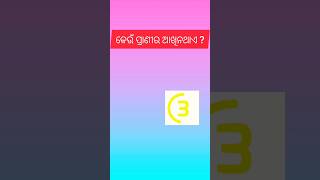 କେଉଁ ପ୍ରାଣୀର ଆଖି ନଥାଏ ? #gk #education #youtubeshorts