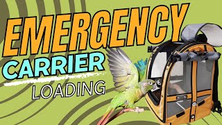 Emergency Carrier Loading | Training Tutorials