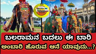 2023 ದಸರಾಗೆ ಅಂಬಾರಿ ಹೊರುವ ನಾಯಕ ಯಾರು |  | ಕ್ಯಾಪ್ಟನ್ ಜೊತೆ ಯಾವ್ಯಾವ ಆನೆಗಳು ಪಾಲ್ಗೊಳಲ್ಲಿದೆ |