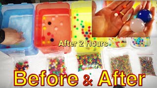 Orbeez Water Balls Before & After- How Big? Do They Bounce?