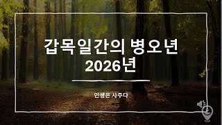 갑목일간의 병오년 2026년은 어떨까?