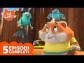 44 Gatti | TOP 5 Polpetta | Episodi Completi | Cartoni Animati per bambini