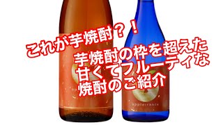 めちゃくちゃ甘くてフルーティな芋焼酎のご紹介 大海酒造