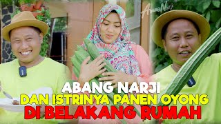 ABANG NARJI DAN ISTRI PANEN OYONG DI BELAKANG RUMAHNYA || LANGSUNG DIMASAK SAYUR - JURAGAN LAHAN