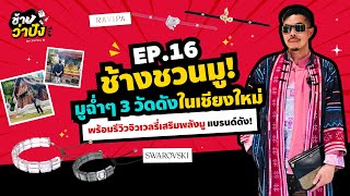 ช้างว่าปัง EP.16 ช้างชวนมู กับ 3 วัดดังเชียงใหม่ พร้อมรีวิวจิวเวลรี่เสริมความปัง 🙏✨