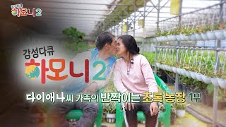 감성다큐하모니 시즌2 - 다이애나씨 가족의 반짝이는 초록 농장 1부