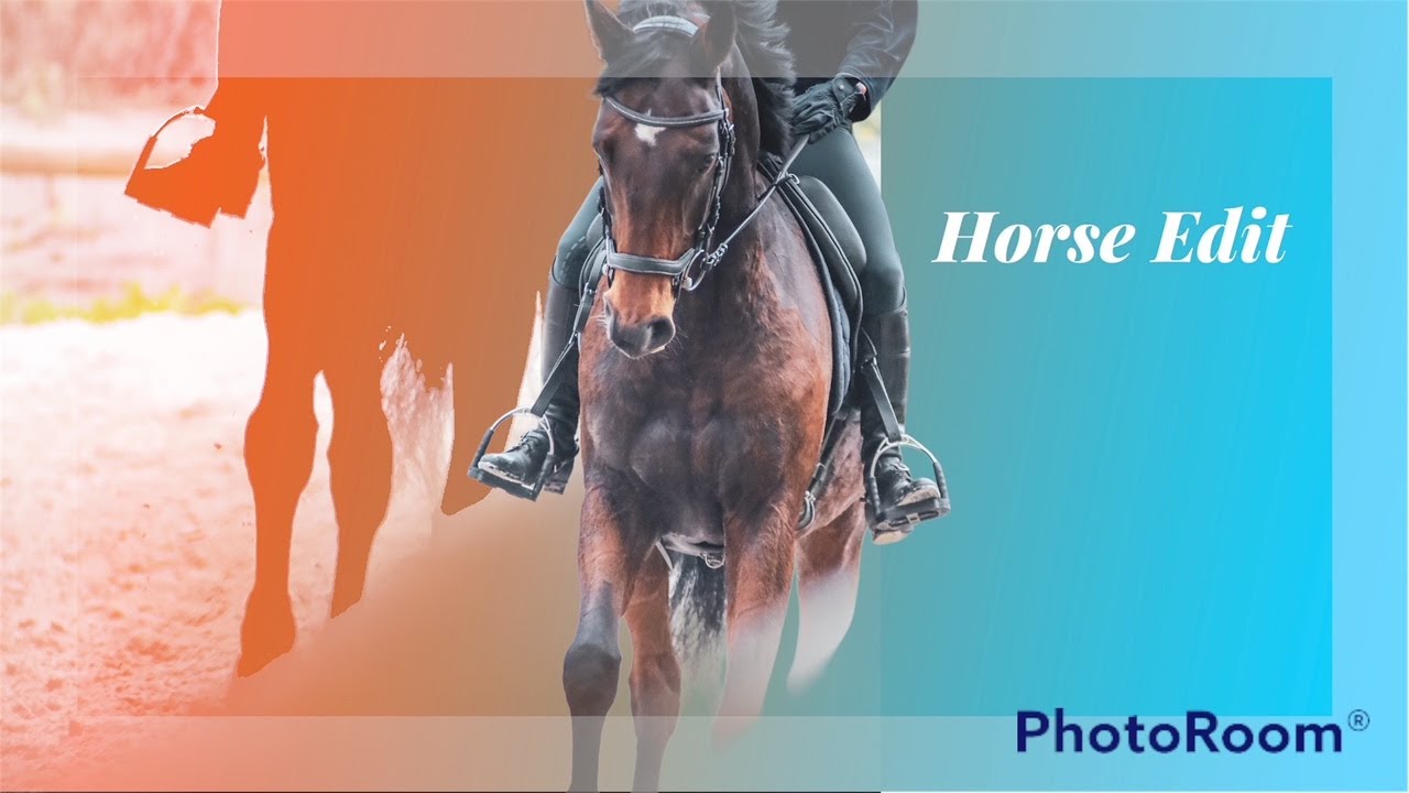 Horse Edit Youtube